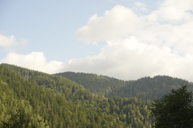 Beautiful view of forest in mountains under sky