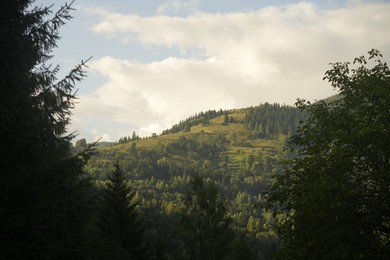 Photo of Picturesque view of forest in mountains under sky