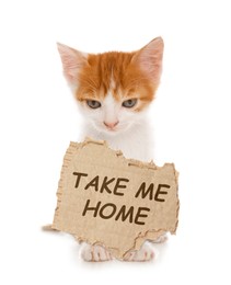 Image of Cute little kitten with sign Take Me Home on white background. Pet adoption