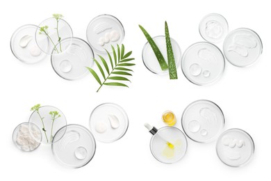 Image of Petri dishes with cosmetic products and plant isolated on white, top view. Set