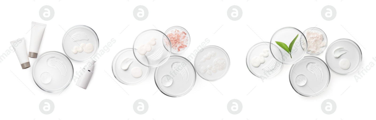 Image of Petri dishes with cosmetic products and plant isolated on white, top view. Set