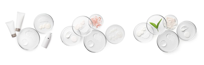 Image of Petri dishes with cosmetic products and plant isolated on white, top view. Set