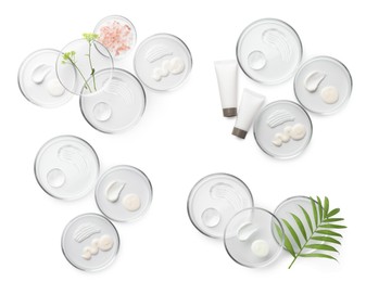 Image of Petri dishes with cosmetic products and plant isolated on white, top view. Set