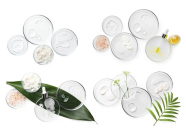 Image of Petri dishes with cosmetic products and plant isolated on white, top view. Set