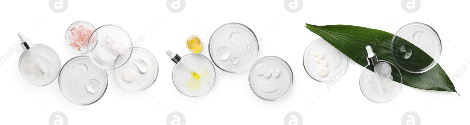 Image of Petri dishes with cosmetic products and plant isolated on white, top view. Set