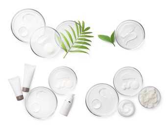 Image of Petri dishes with cosmetic products and plant isolated on white, top view. Set