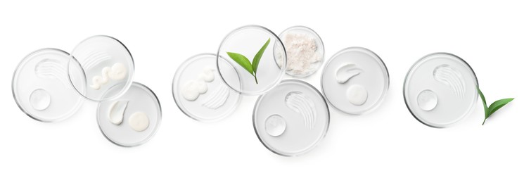 Image of Petri dishes with cosmetic products and plant isolated on white, top view. Set