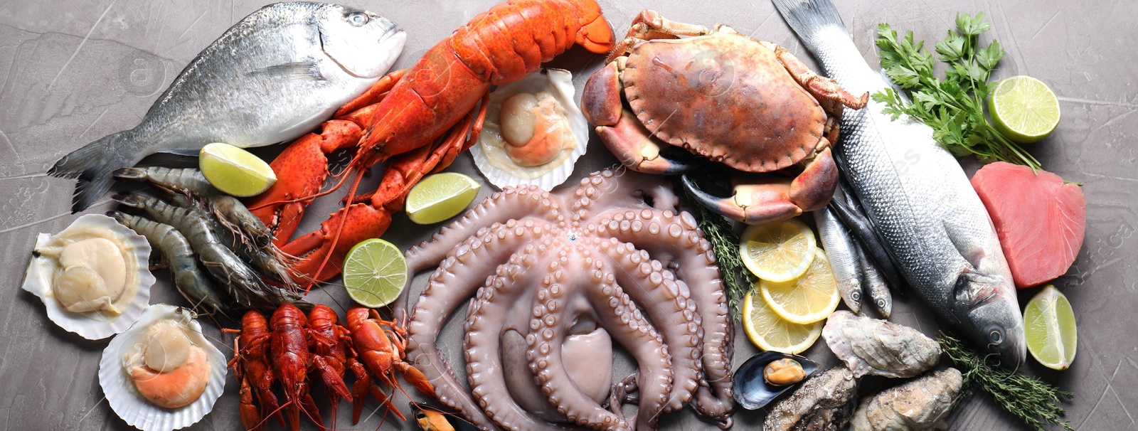 Image of Many different fresh sea food on grey table, flat lay. Banner design