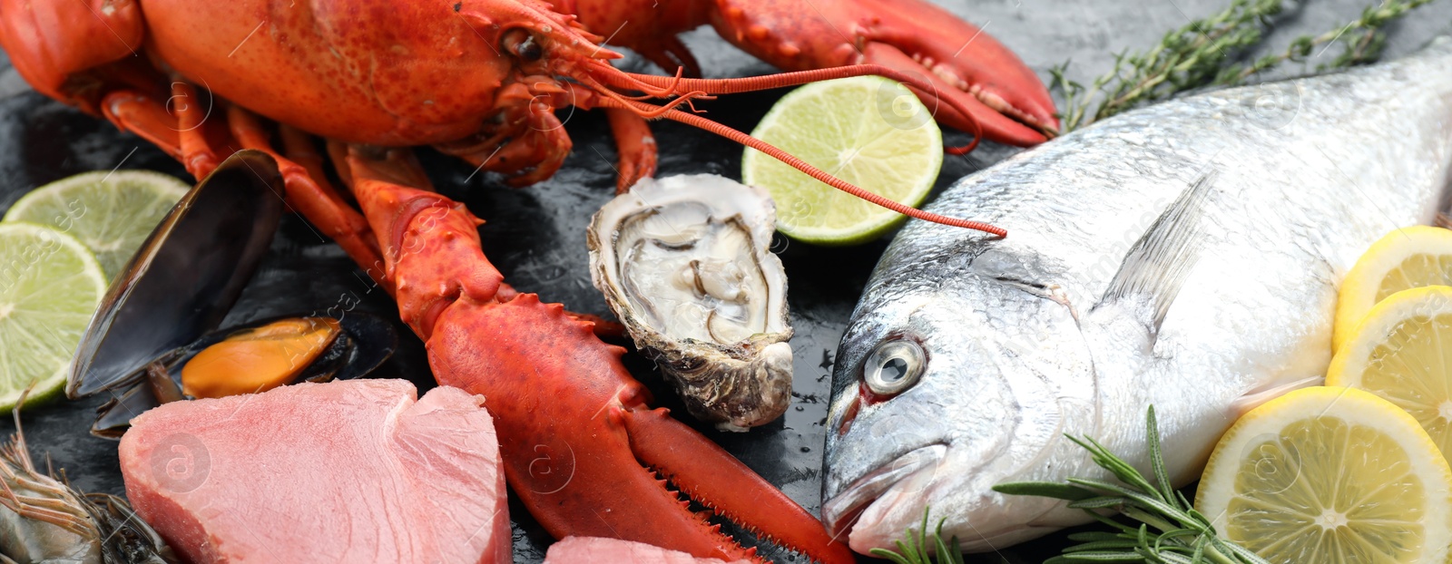 Image of Many different fresh sea food on table, closeup. Banner design