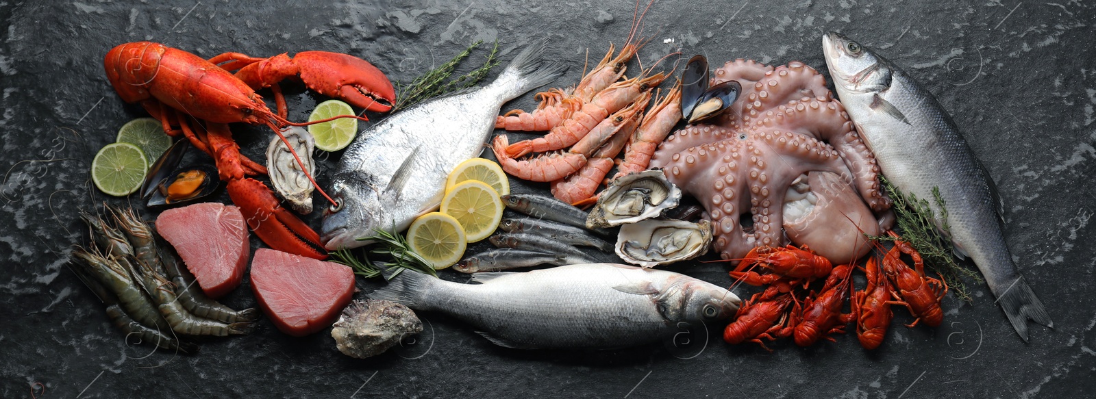 Image of Many different fresh sea food on black table, flat lay. Banner design