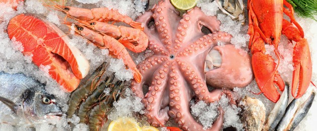 Image of Many different fresh sea food in ice, top view. Banner design