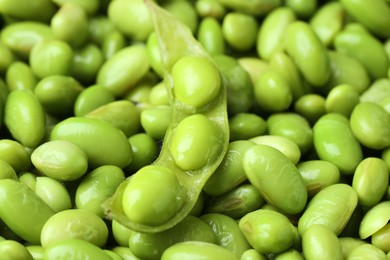 Fresh edamame pod on soybeans, closeup view