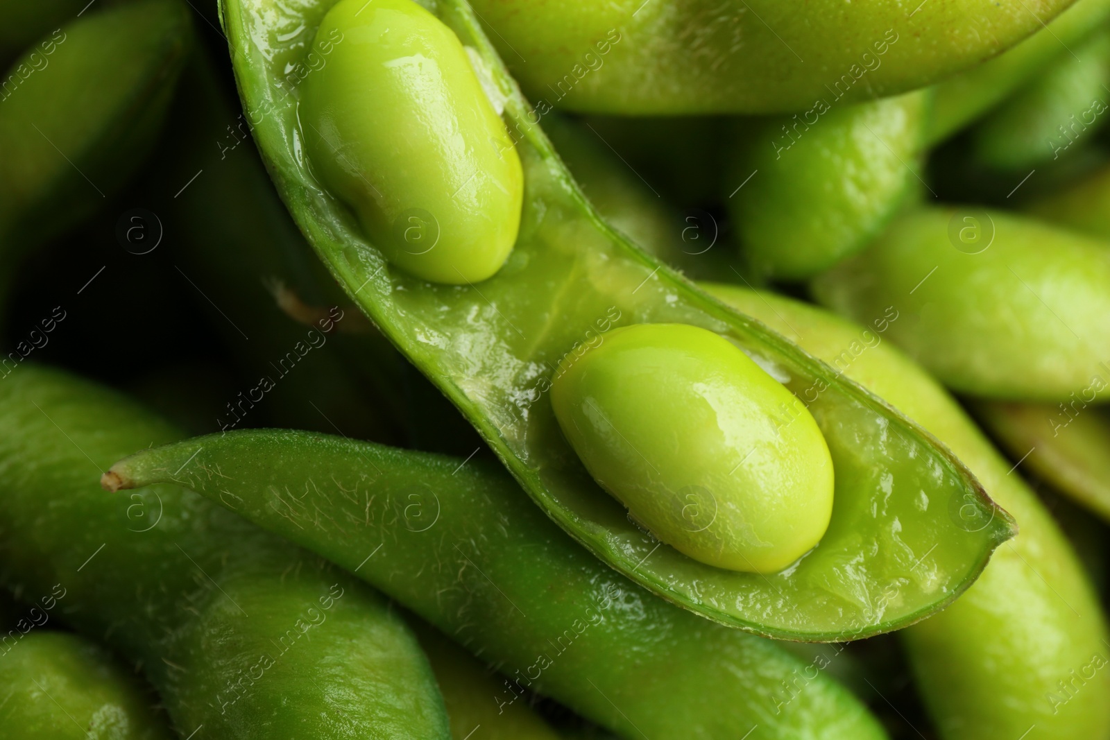 Photo of Fresh edamame pods with soybeans as background, above view