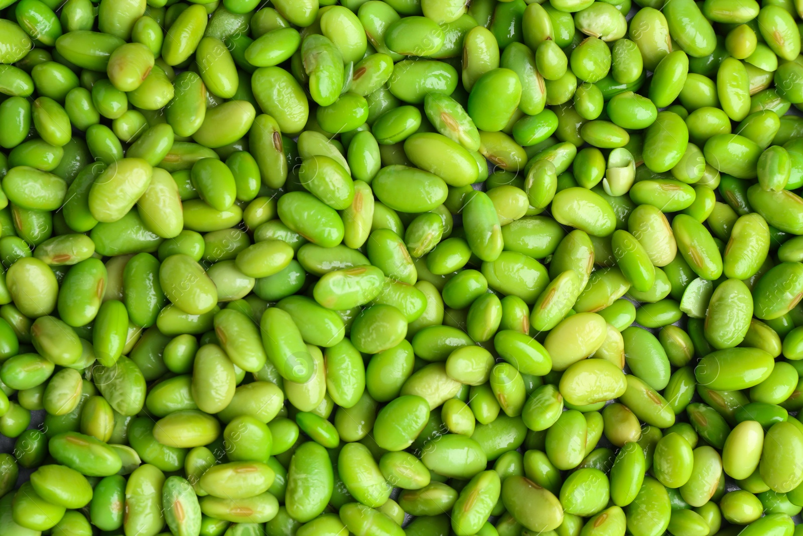 Photo of Fresh edamame beans as background, top view