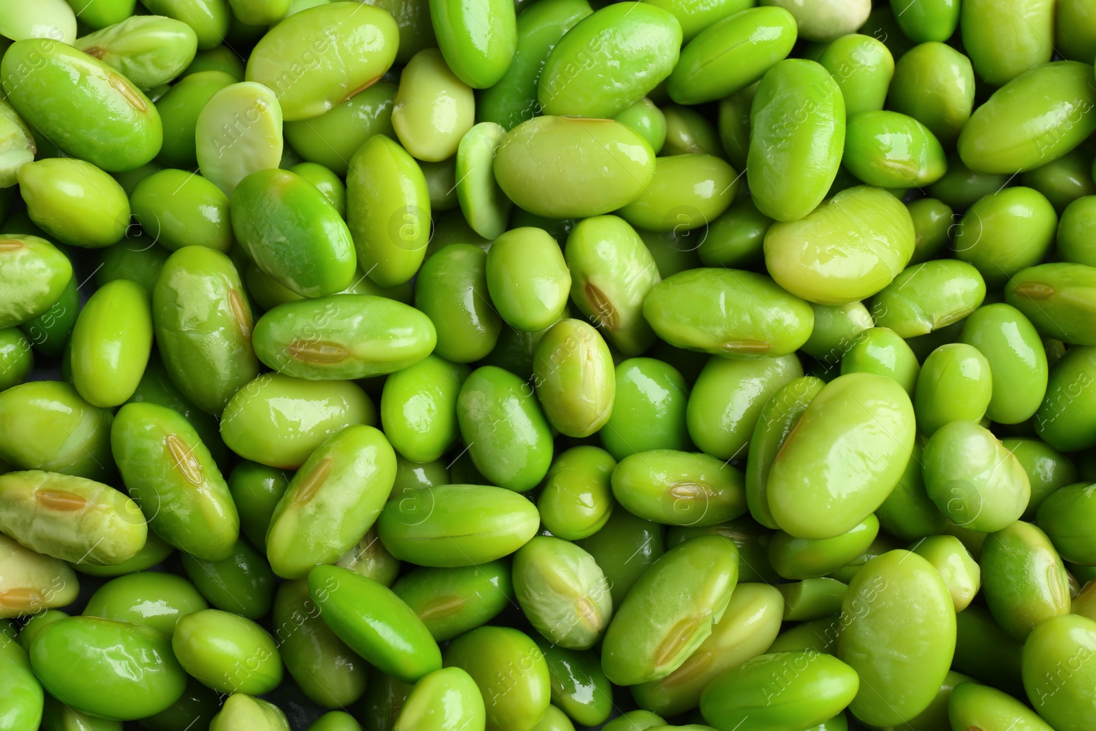 Photo of Fresh edamame beans as background, top view