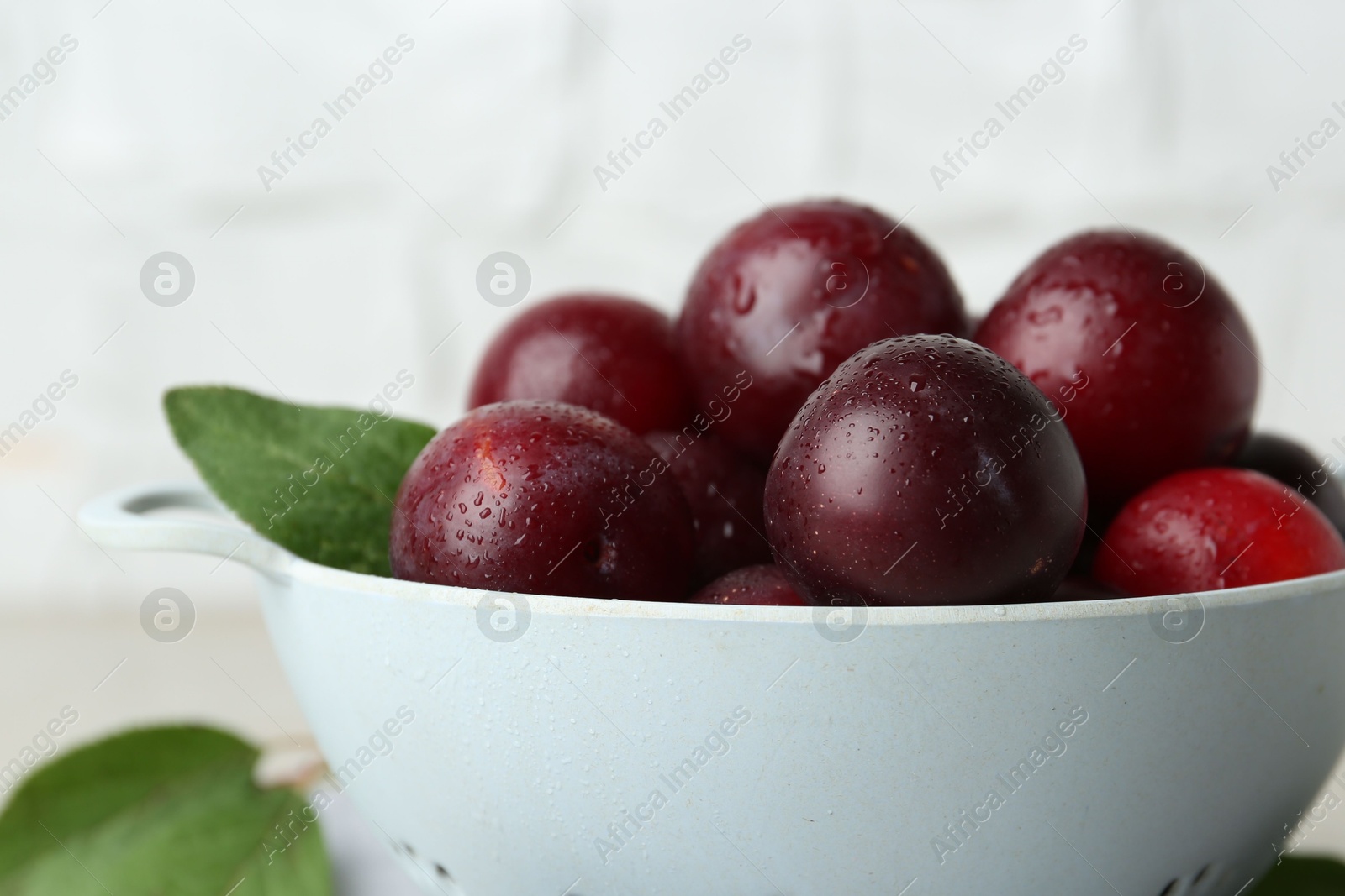 Photo of Ripe plums in colander on table, closeup