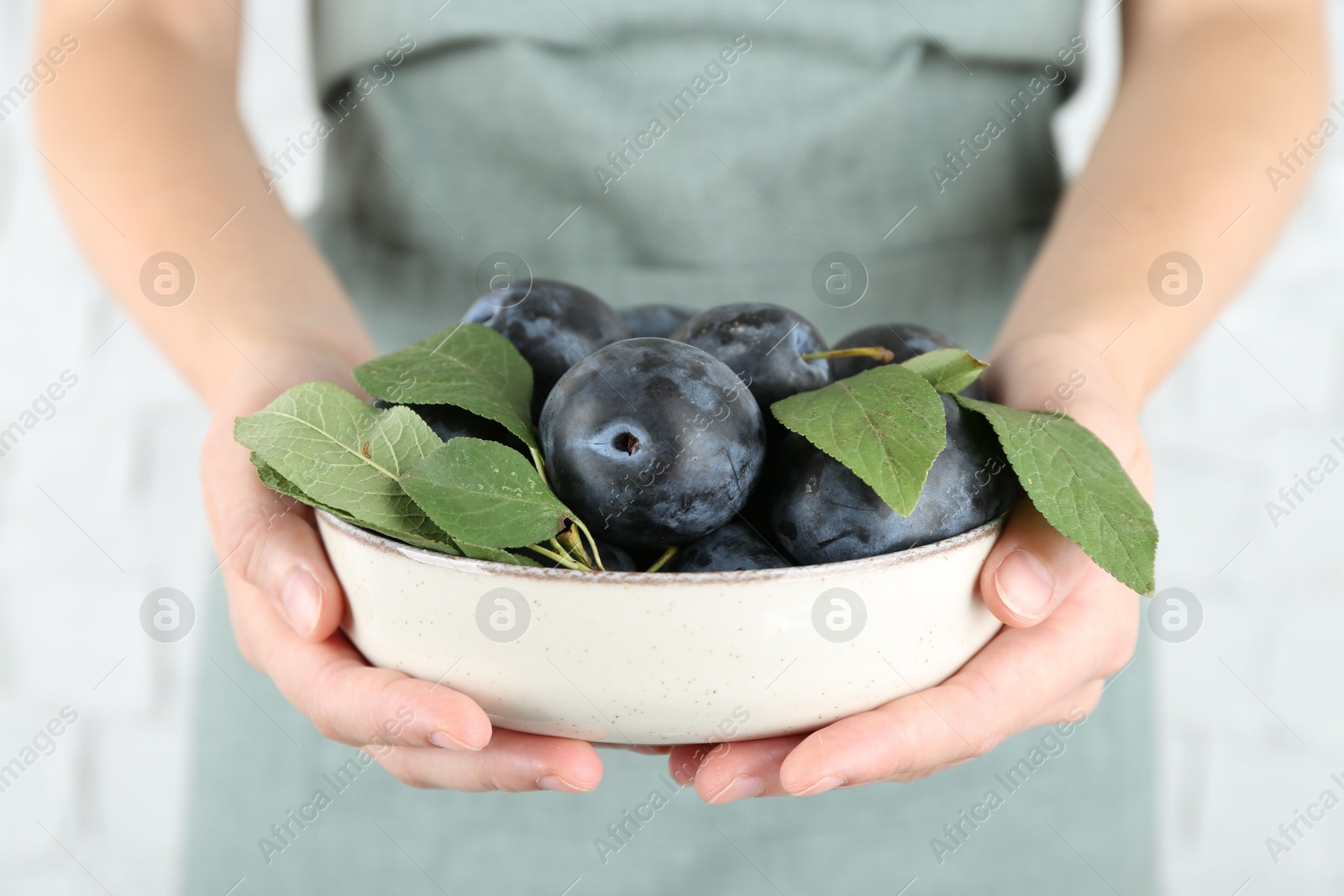 Photo of Woman holding bowl of ripe plums against white background, closeup