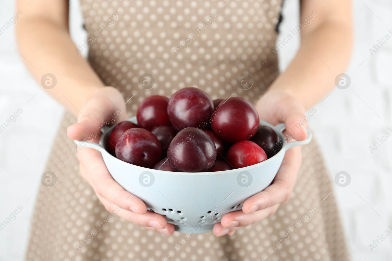 Photo of Woman holding colander of ripe plums against white background, closeup