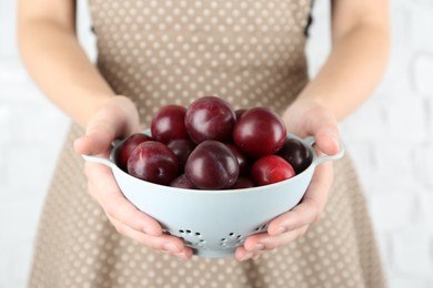 Photo of Woman holding colander of ripe plums against white background, closeup