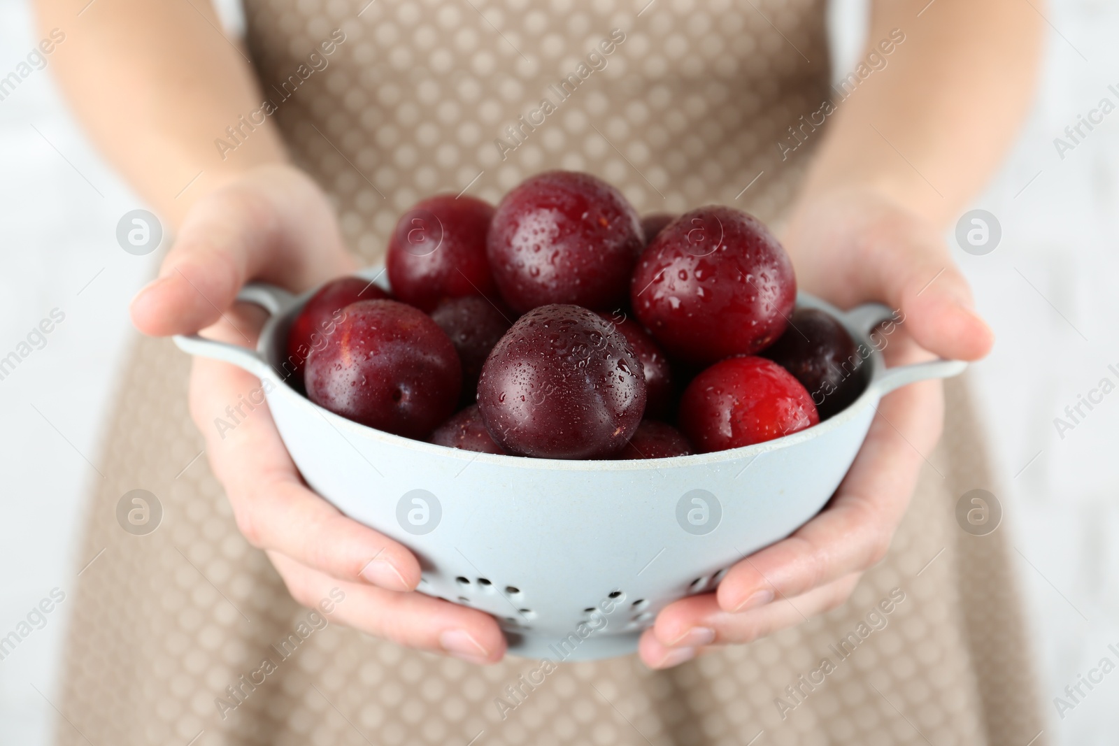 Photo of Woman holding colander of ripe plums against white background, closeup