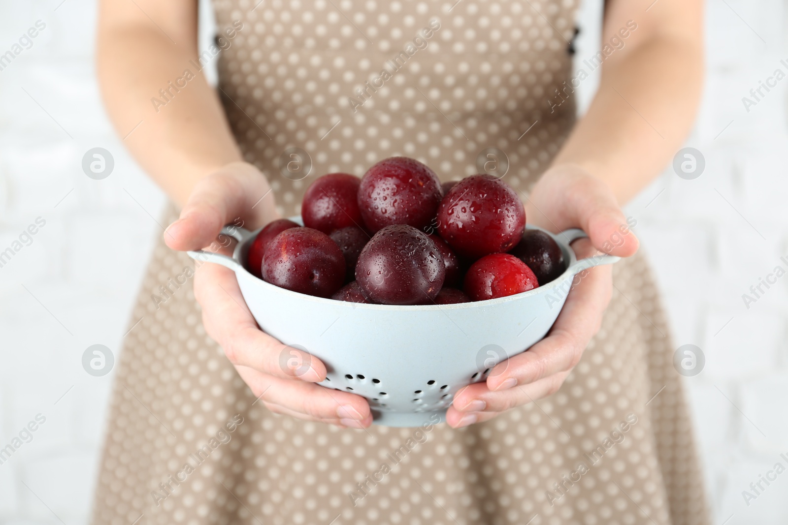 Photo of Woman holding colander of ripe plums against white background, closeup