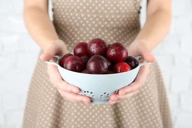 Photo of Woman holding colander of ripe plums against white background, closeup