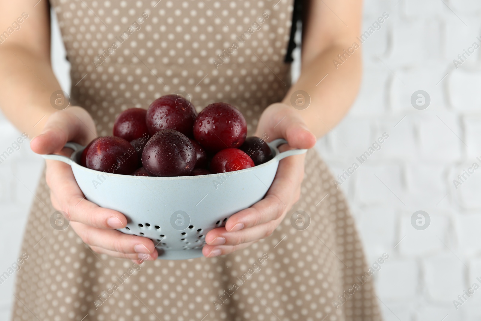 Photo of Woman holding colander of ripe plums against white background, closeup