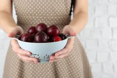 Photo of Woman holding colander of ripe plums against white background, closeup