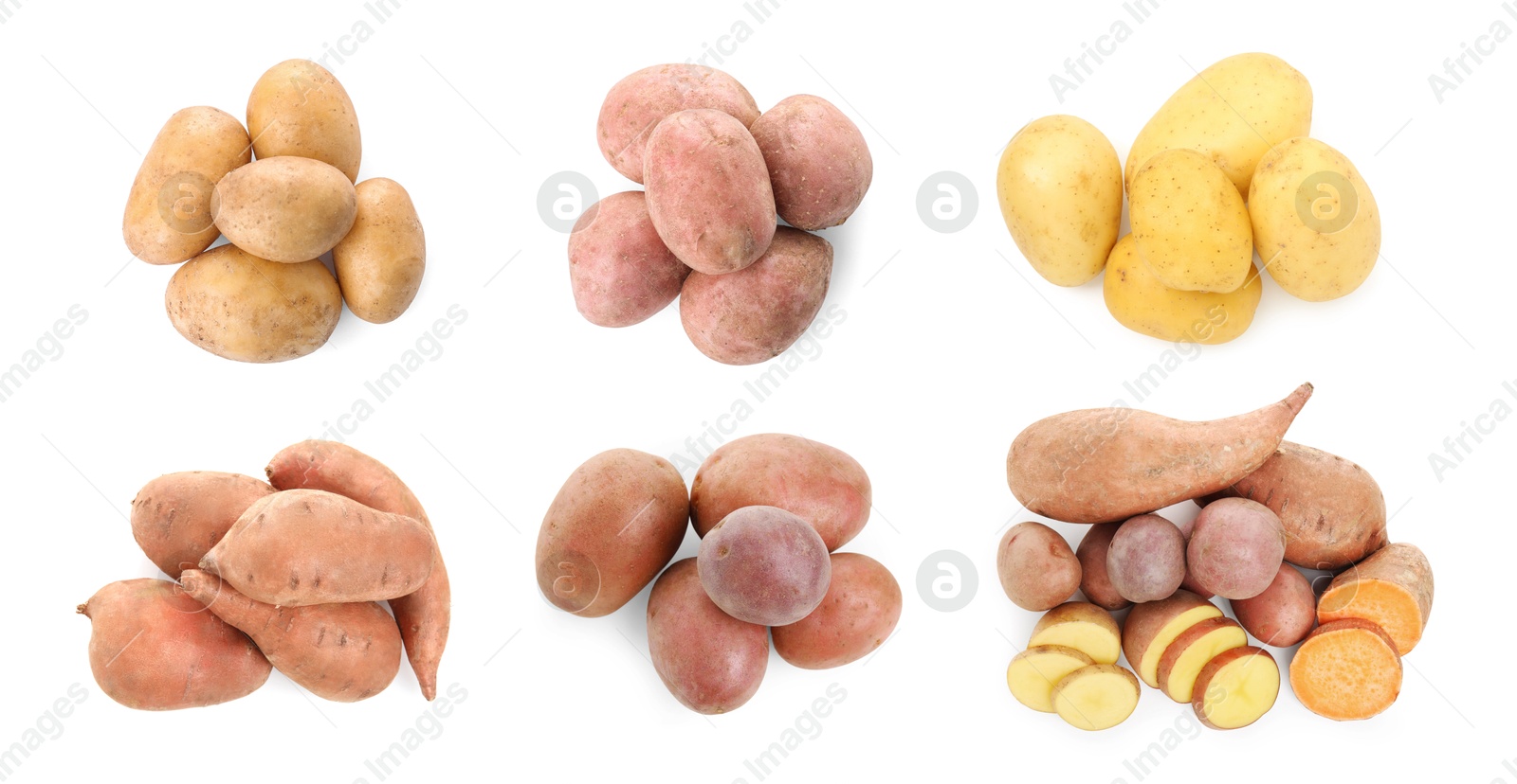 Image of Different types of potatoes isolated on white, collection