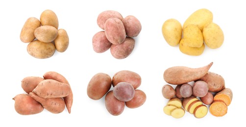 Image of Different types of potatoes isolated on white, collection