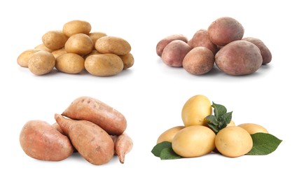 Image of Different types of potatoes isolated on white, collection