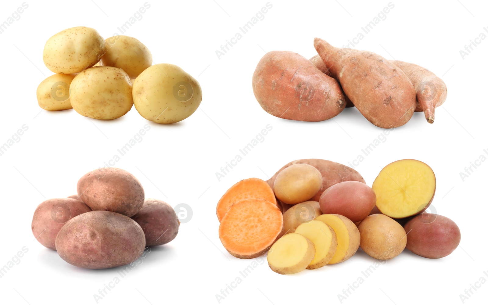 Image of Different types of potatoes isolated on white, collection