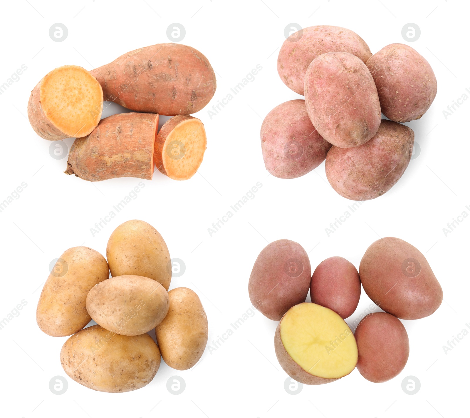 Image of Different types of potatoes isolated on white, collection