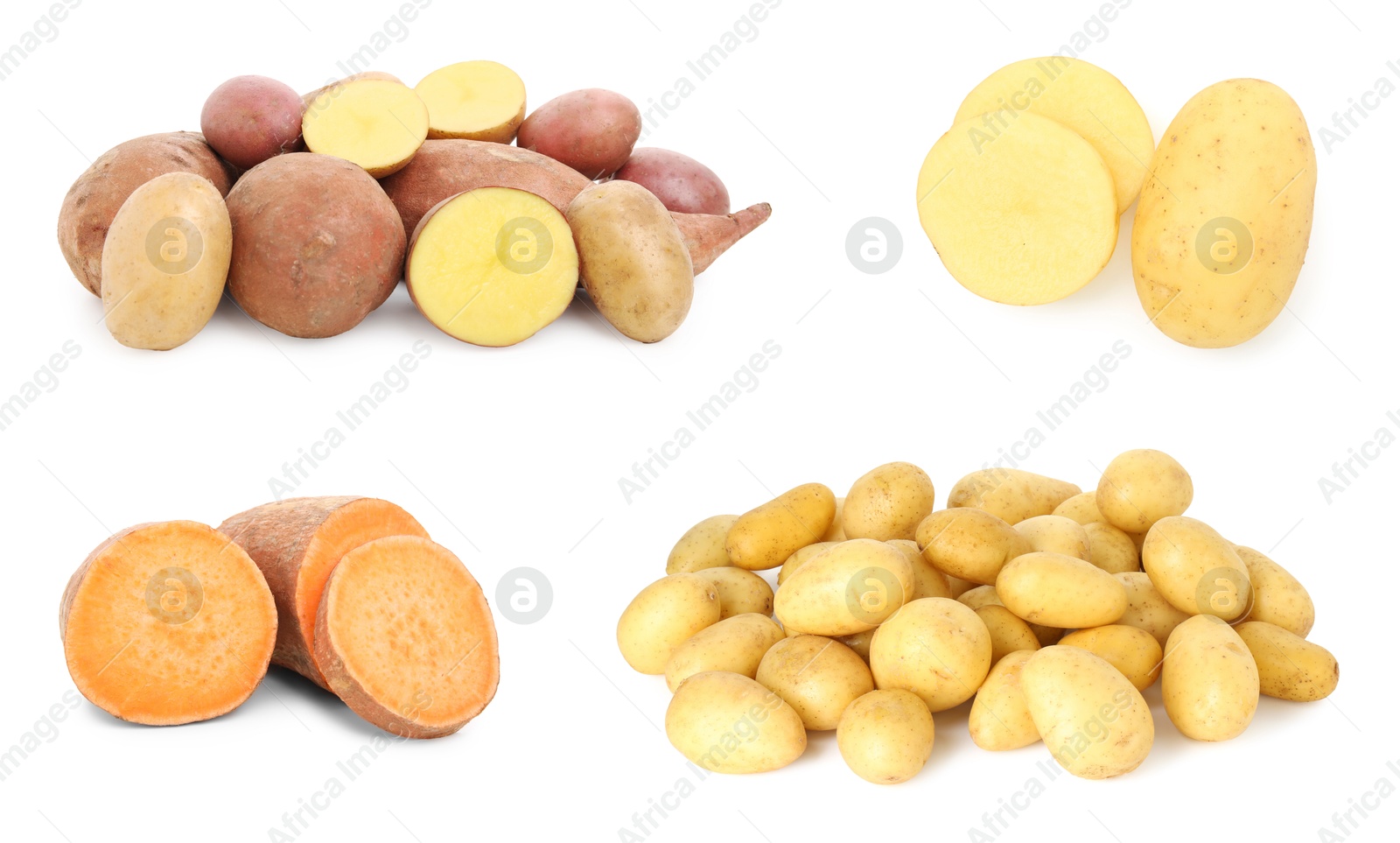 Image of Different types of potatoes isolated on white, collection