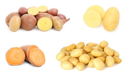 Image of Different types of potatoes isolated on white, collection