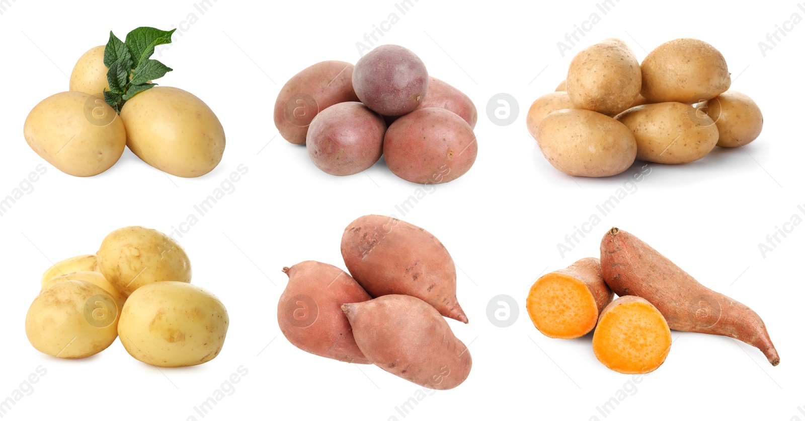 Image of Different types of potatoes isolated on white, collection