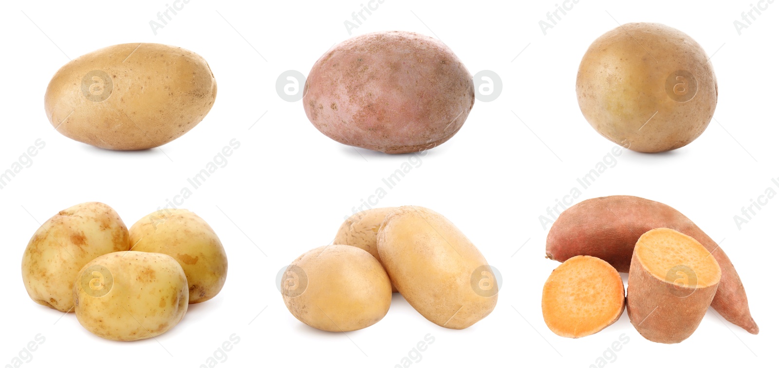 Image of Different types of potatoes isolated on white, collection