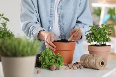 Photo of Transplanting herb. Woman loosening soil in pot at table indoors, closeup