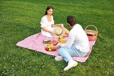 Lovely couple having picnic on green grass outdoors