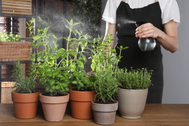 Photo of Woman spraying different potted herbs at wooden table indoors, closeup