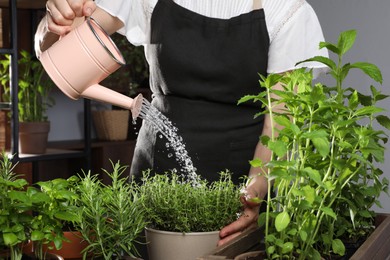 Photo of Woman watering different herbs with can indoors, closeup