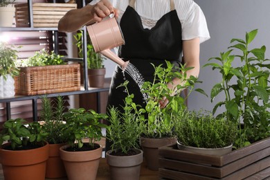 Photo of Woman watering different herbs with can at table indoors, closeup