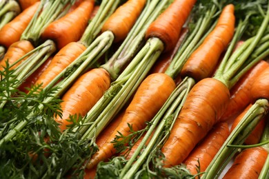 Photo of Tasty ripe juicy carrots as background, closeup