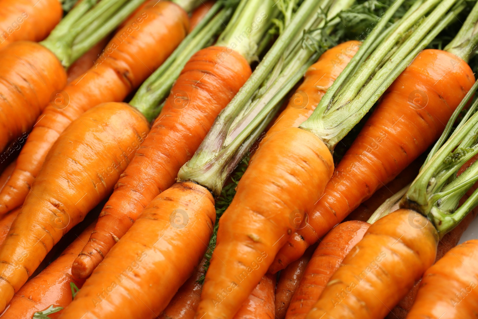 Photo of Tasty ripe juicy carrots as background, closeup