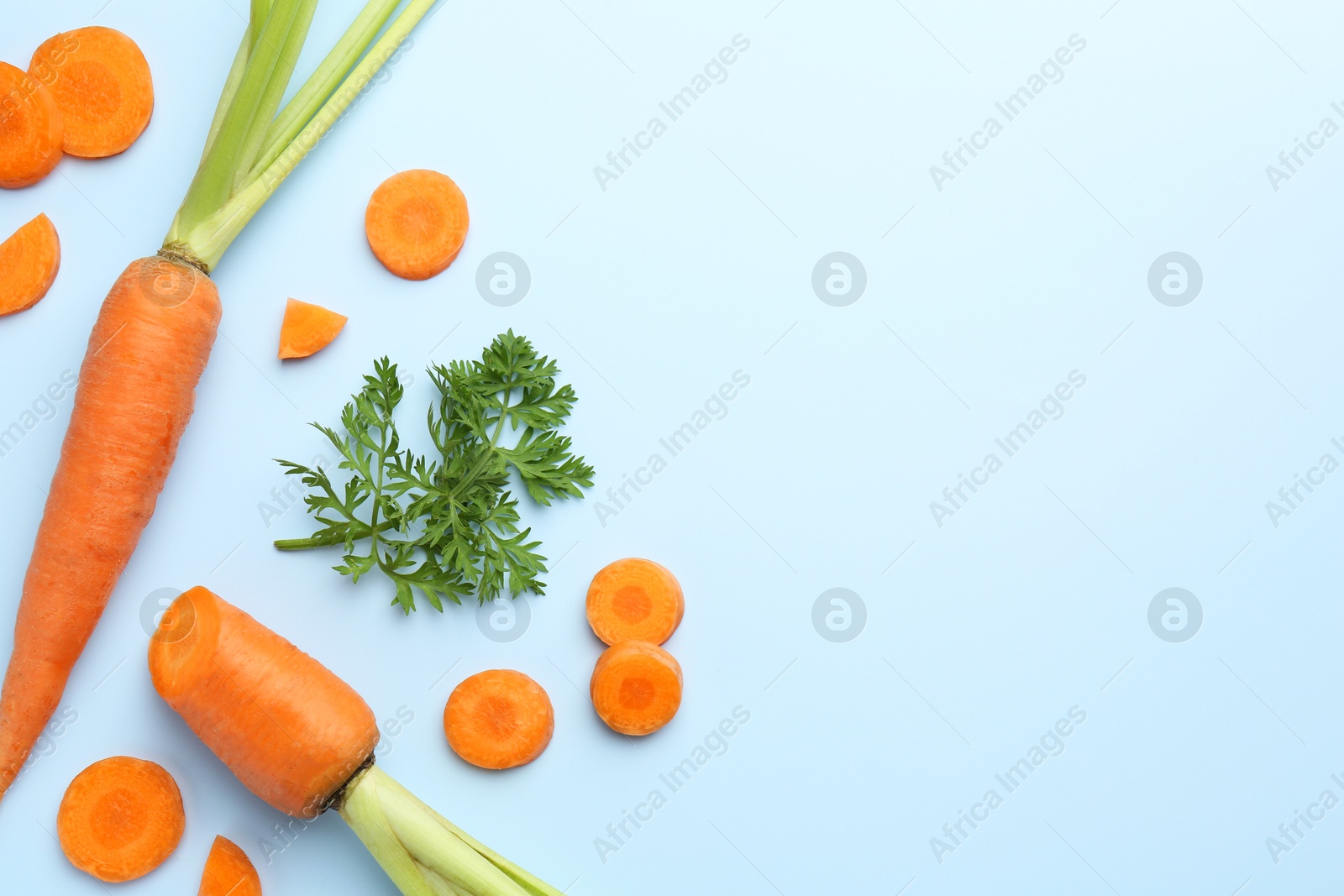 Photo of Whole and cut fresh carrots with green leaf on light background, flat lay. Space for text