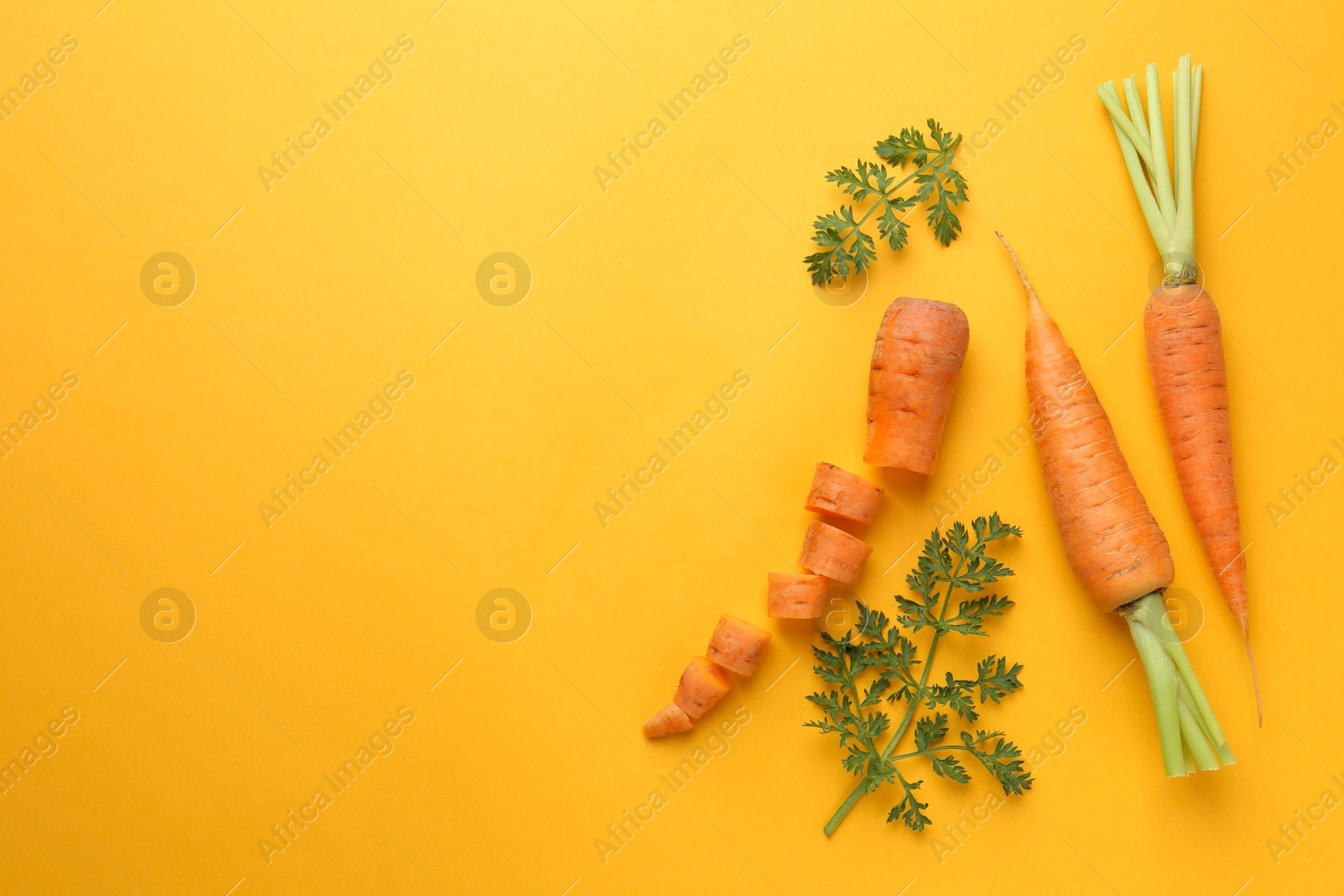 Photo of Whole and cut fresh carrots with green leaves on yellow background, flat lay. Space for text