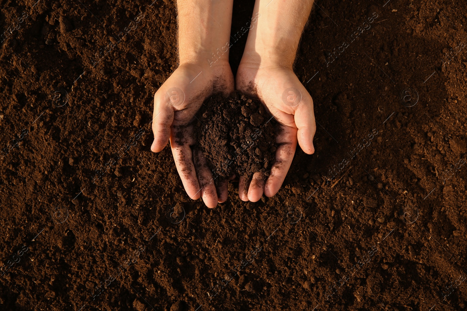 Photo of Man holding pile of soil outdoors, top view