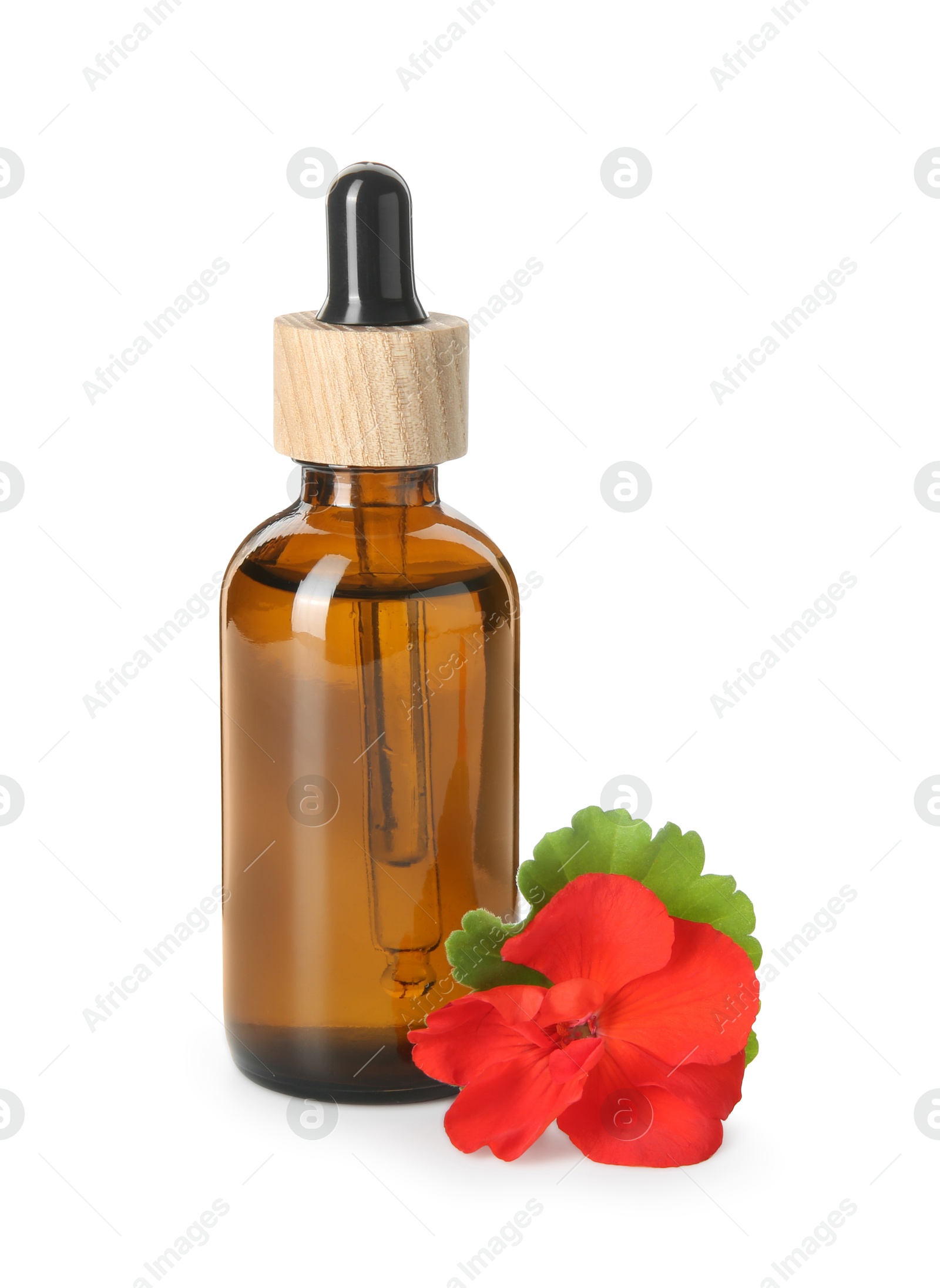 Photo of Bottle of geranium essential oil and beautiful flower isolated on white