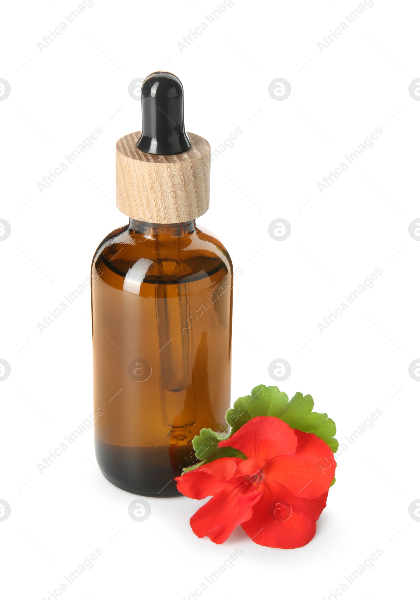 Photo of Bottle of geranium essential oil and beautiful flower isolated on white