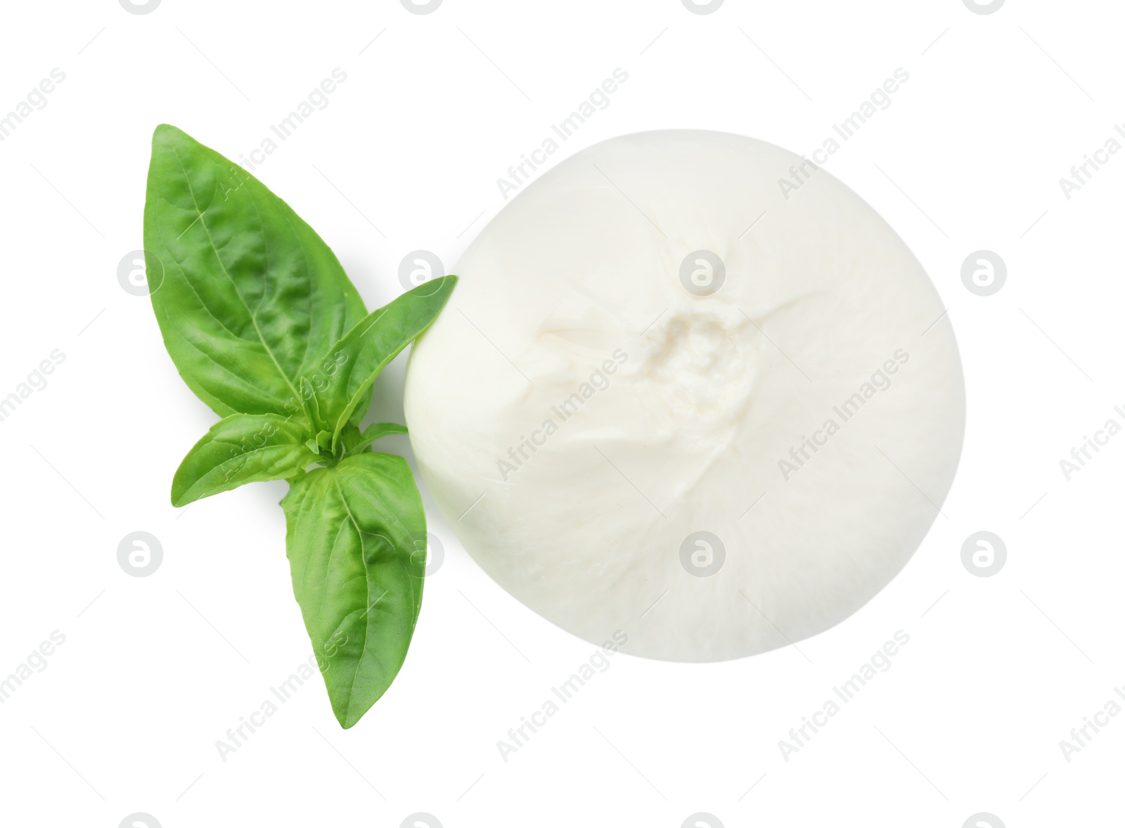 Photo of Delicious burrata cheese and basil isolated on white, top view